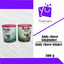 ANDY CHOCO GINGEMBRE 500G