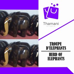 SERIES OF SIX ELEPHANTS